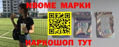 крисы Моздок