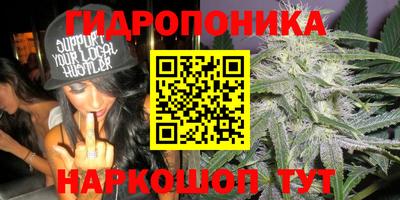 стафф Нальчик