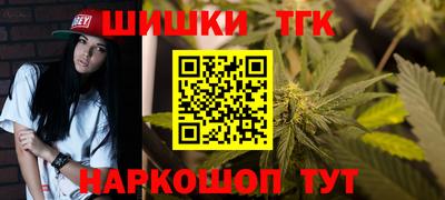 крисы Моздок