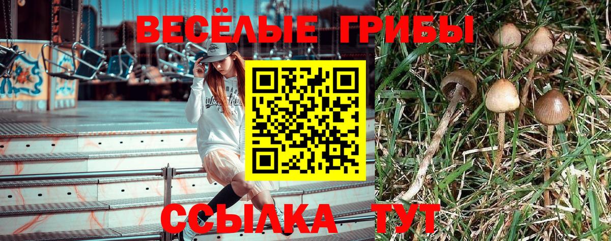 Татарск  Галлюциногенные грибы мухоморы  Вход с VPN  Галлюциногенные грибы MAGIC MUSHROOMS 